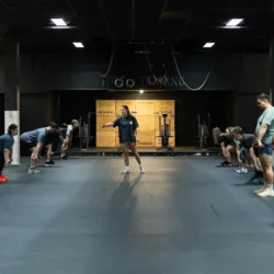 Forcis Training