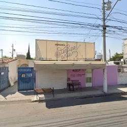 PELUSA DE GATO