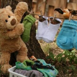 My bear laundry