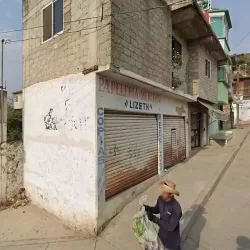Papeleria Y Merceria "Lizeth"