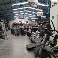 Aparatos de Gimnasio Importados Monterrey