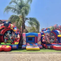 Renta de Inflables Silao