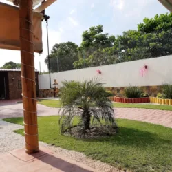 Campestre