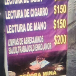 Lectura de tarot Señora Mina