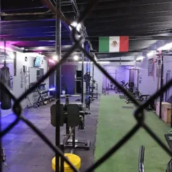 EVOLFI7 GYM