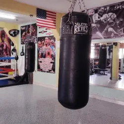 Partiganos Boxing Gym