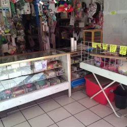 Papelería y mercerías del sur