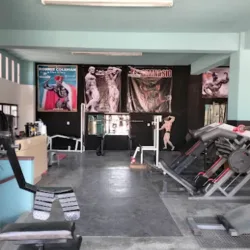 Wolf's Gym