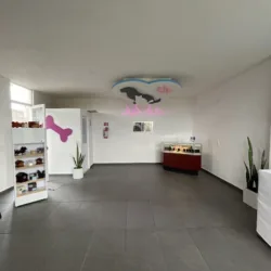 HORNO CREMATORIO PARA MASCOTAS “UNA HUELLA MÁS EN EL CIELO”