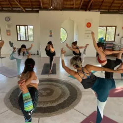 Casa Ananda Yoga Ashram