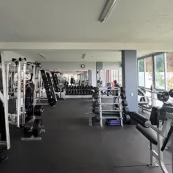 Gym Jardin Real