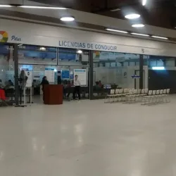 Licencias De Conducir Pilar