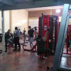 Pitbull gym