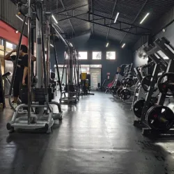 Bodybuilding Factory