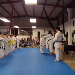 Gimnasio Los Pinos