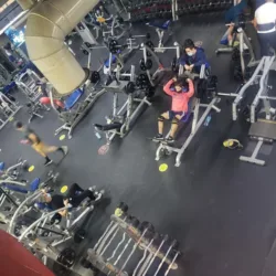 Fitness MONTECARLO