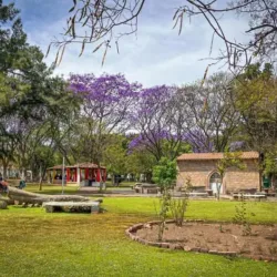 Parque Morelos