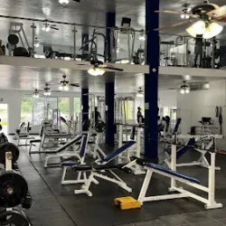 Gym Olimpia Flex