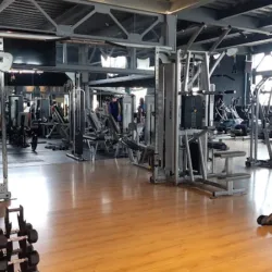 Workout GYM