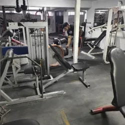 Beast Gym