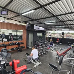 Evolution Gym