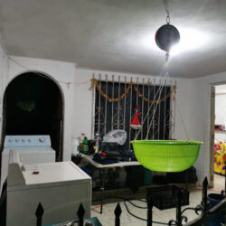 Lavandería Jabón oso