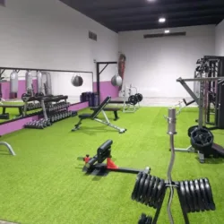 Fusión Fitness