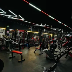 world fitness gym