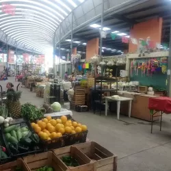 Nuevo Mercado Municipal
