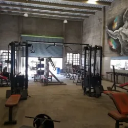Ronnis Gym