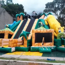 Inflables Divertidisimo Toluca
