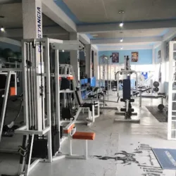 Alpha Gym