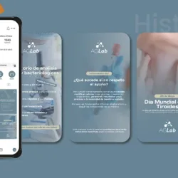 BINOMIA | estudio de diseño