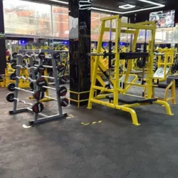 Olimpus gym insurgentes