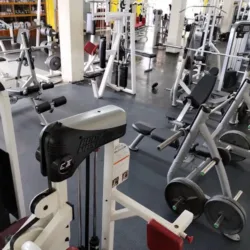 Monkey Gym_Toluca