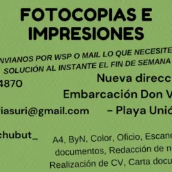 Suri Arte y Diseño
