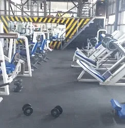 Magnus Gym