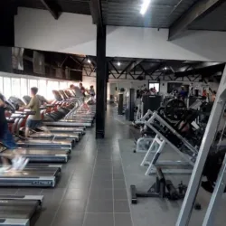 Work Up Gym