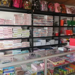 Librería y Papelería El Recreo Campeche