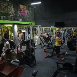 Strong Gym Chihuahua