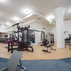 Genderless Gimnasio