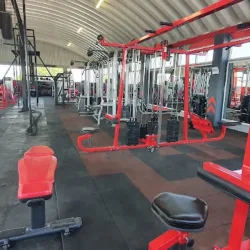 Dragon gym