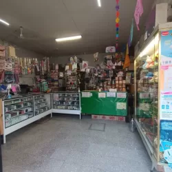 Papelería Cesver