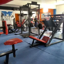 M Elite Gym & Dragon Club Fighters