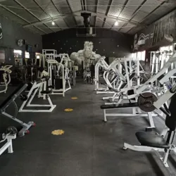 BESTIARIUM GYM