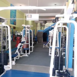 Zeus Gym