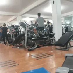 Power sport gym