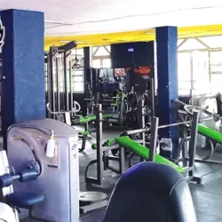 Gym Freedom