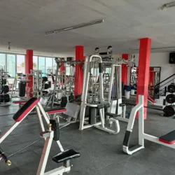 MR WOO GYM