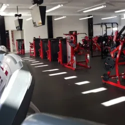 Orba Fitness Muscle Designing